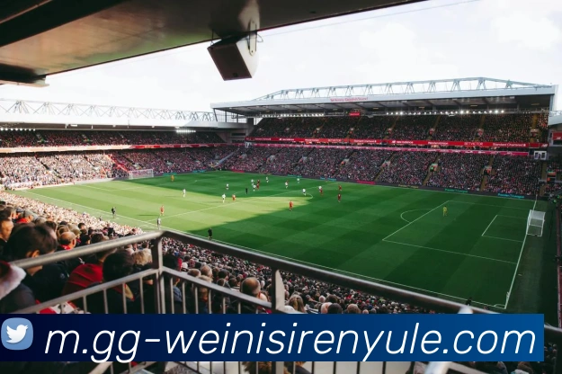 App Interface Preview